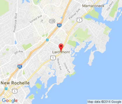 logo-image - Larchmont-NY